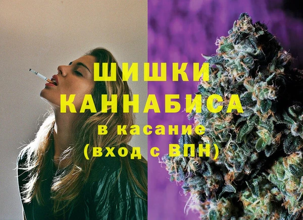 дживик Богородицк