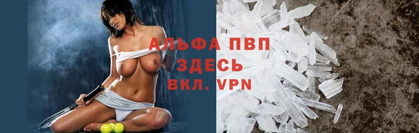 PSILOCYBIN Богородск