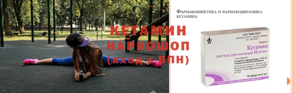 дживик Богородицк