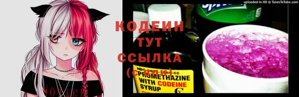 дживик Богородицк