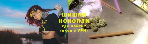 PSILOCYBIN Богородск