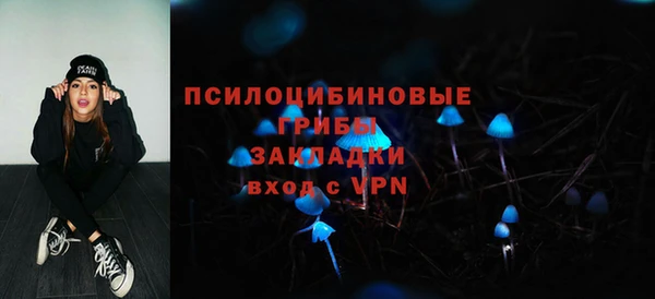 дживик Богородицк