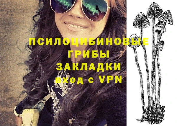 PSILOCYBIN Богородск