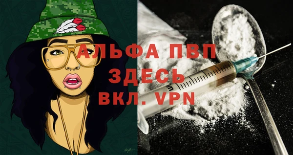 дживик Богородицк
