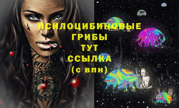 PSILOCYBIN Богородск